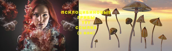 МДПВ Тихвин