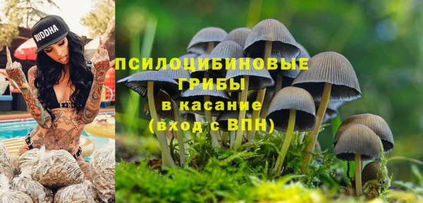 mdpv Беломорск