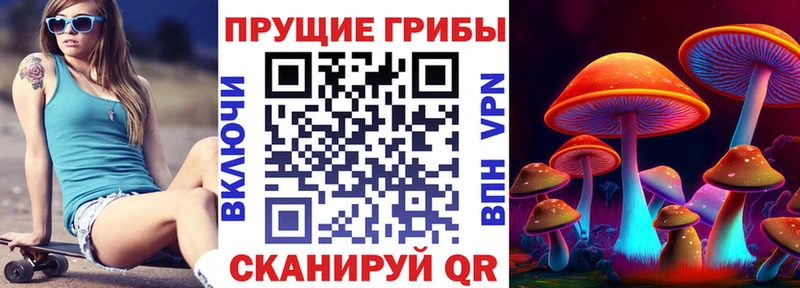 darknet формула Шумиха Псилоцибиновые грибы Magic Shrooms продажа наркотиков
